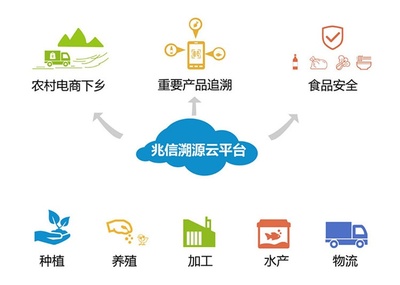 二维码溯源系统在农业发展中的应用与实践